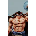 One Piece Edward Newgate WhiteBeard YU Studio