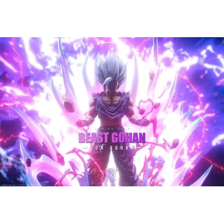 Dragon Ball Super Gohan Beast QY Studio