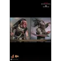 Hottoys - Predator: Badlands Dek and Thia 1/6th scale Collectible Figure Set MMS849 MMS850 (Licensed)