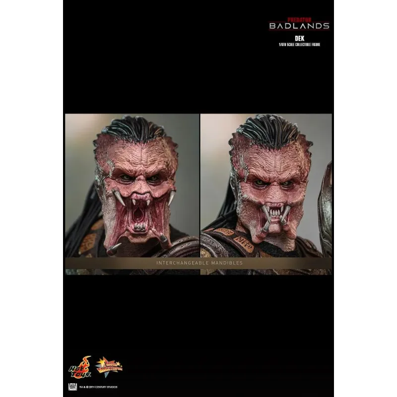 Hottoys - Predator: Badlands Dek and Thia 1/6th scale Collectible Figure Set MMS849 MMS850 (Licensed)