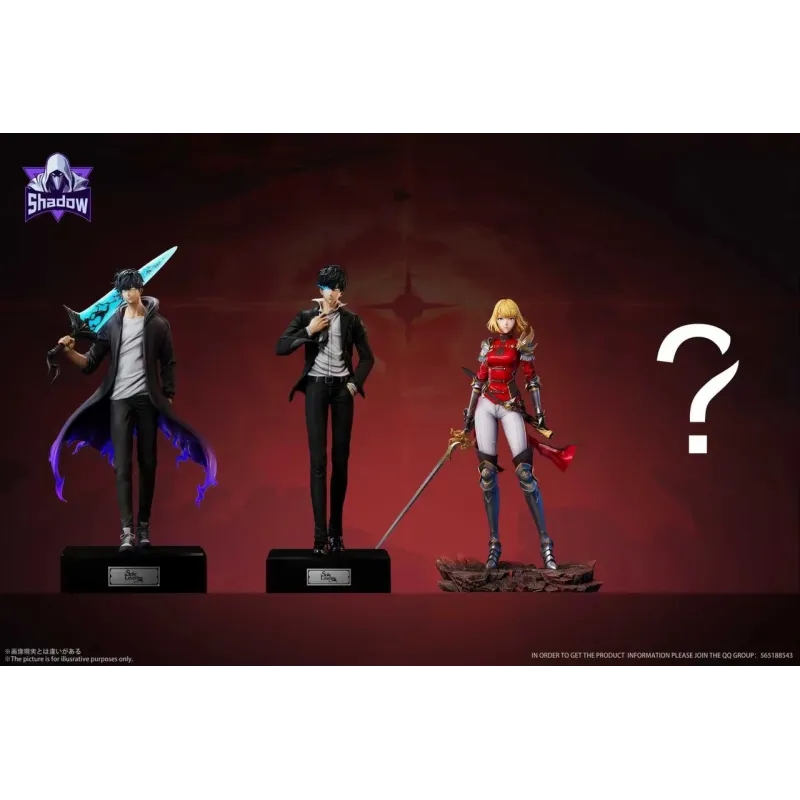 Solo Leveling Cha Hae-in Shadow Studio