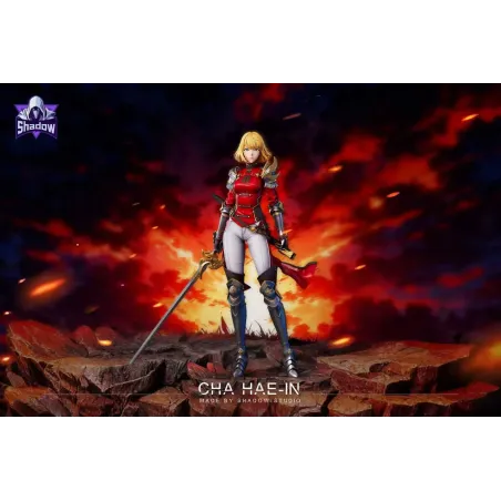 Solo Leveling Cha Hae-in Shadow Studio