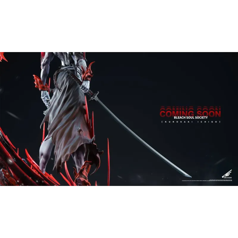 Bleach Kurosaki Ichigo Hollow Time Studio