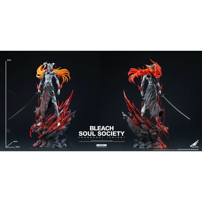 Bleach Kurosaki Ichigo Hollow Time Studio