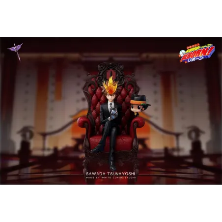 Katekyo Hitman Reborn Sawada Tsunayoshi White Curse Studio