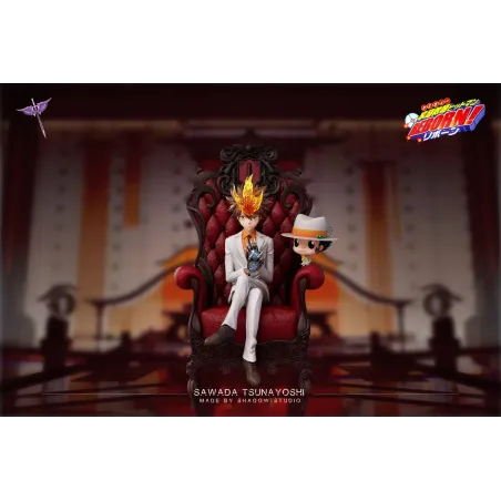 Katekyo Hitman Reborn Sawada Tsunayoshi White Curse Studio