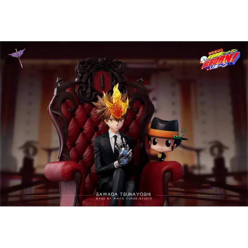 Katekyo Hitman Reborn Sawada Tsunayoshi White Curse Studio