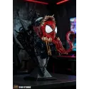 Marvel Spider Man Venom Wall Hanging 3109 Studio