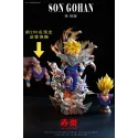 Dragon Ball Z Gohan SSJ Red Flame Studio