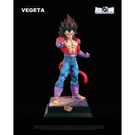 Dragon Ball GT Vegeta SSJ4 EX Capsule Studio