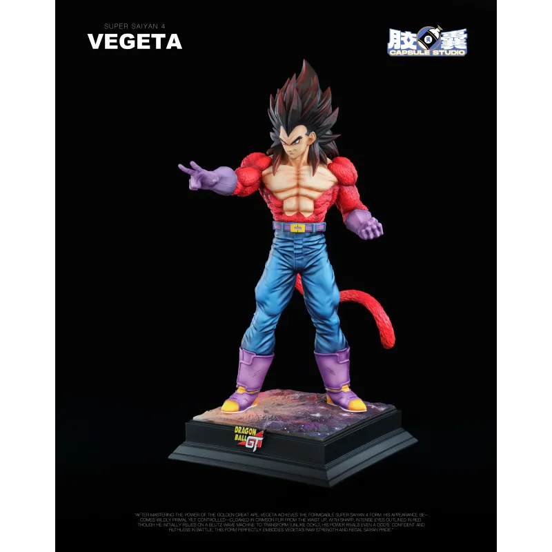 Dragon Ball GT Vegeta SSJ4 EX Capsule Studio