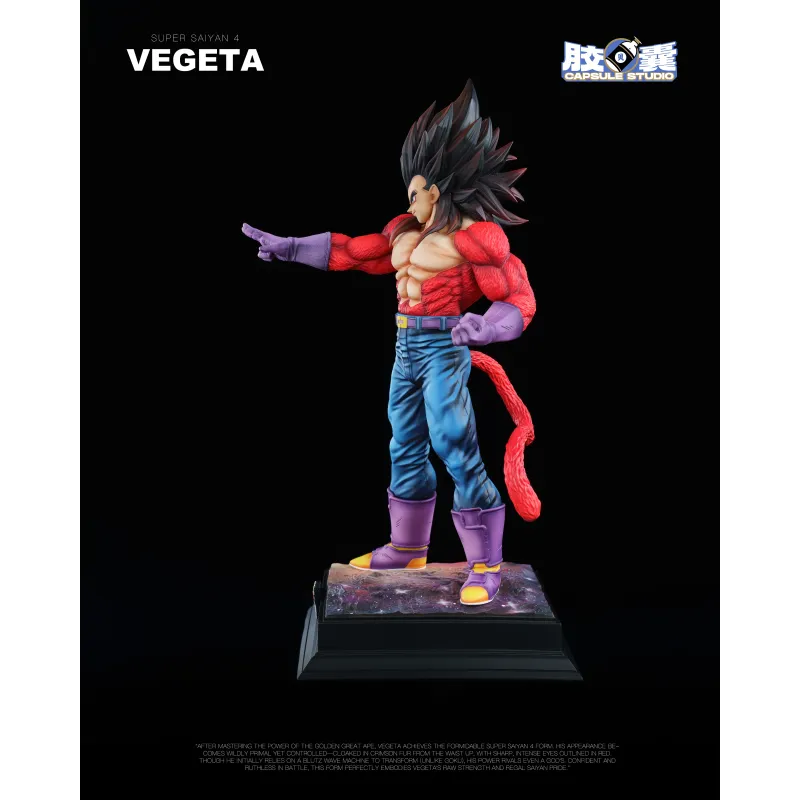 Dragon Ball GT Vegeta SSJ4 EX Capsule Studio