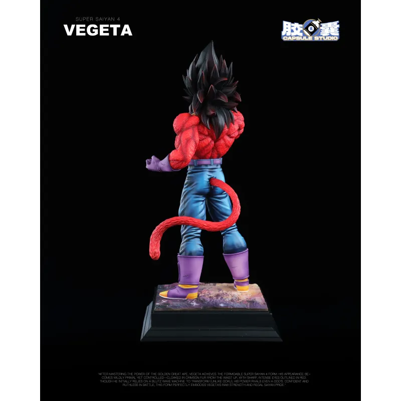 Dragon Ball GT Vegeta SSJ4 EX Capsule Studio