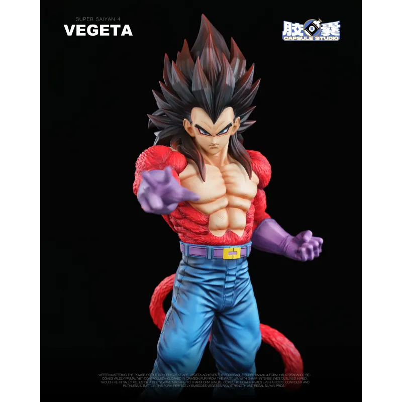 Dragon Ball GT Vegeta SSJ4 EX Capsule Studio