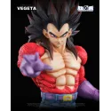 Dragon Ball GT Vegeta SSJ4 EX Capsule Studio