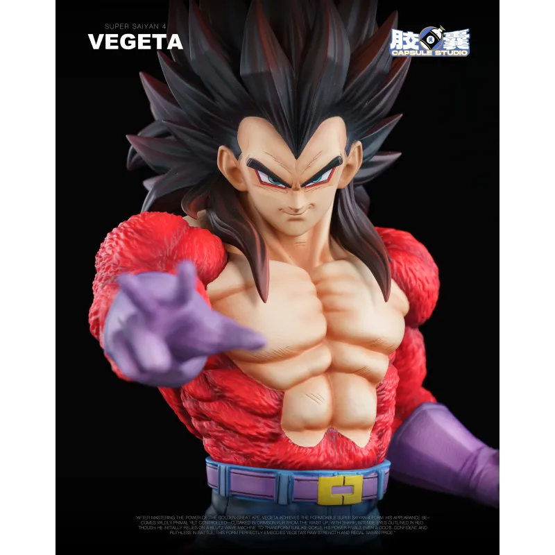 Dragon Ball GT Vegeta SSJ4 EX Capsule Studio