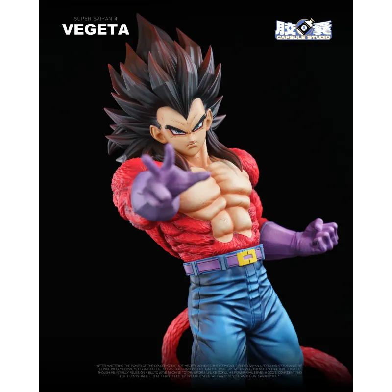 Dragon Ball GT Vegeta SSJ4 EX Capsule Studio