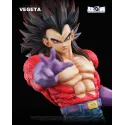 Dragon Ball GT Vegeta SSJ4 EX Capsule Studio