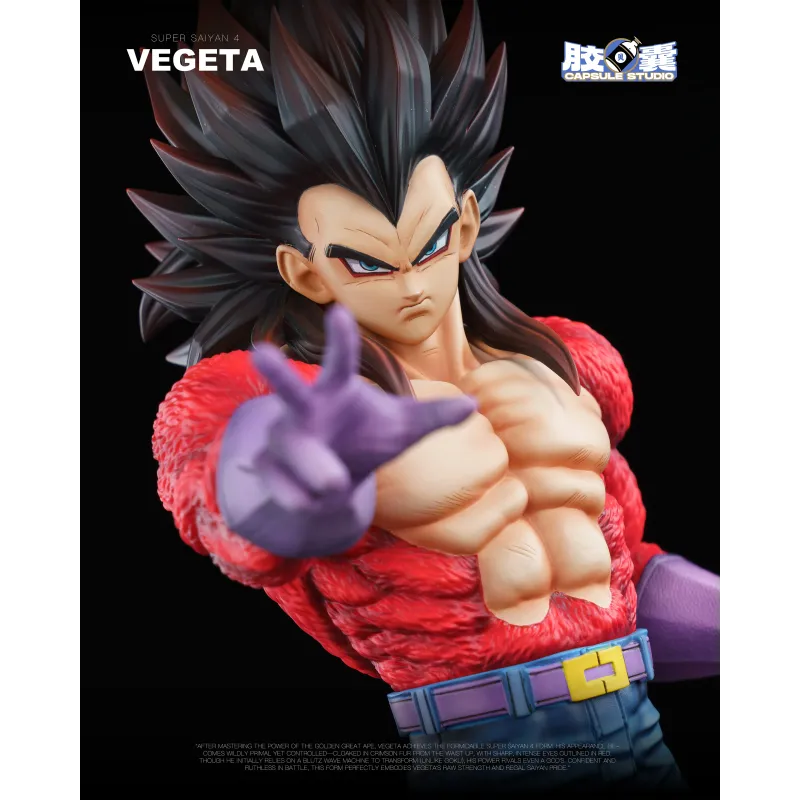 Dragon Ball GT Vegeta SSJ4 EX Capsule Studio