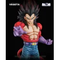 Dragon Ball GT Vegeta SSJ4 EX Capsule Studio