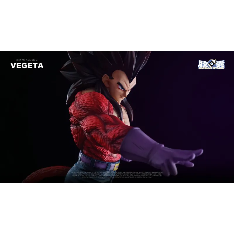 Dragon Ball GT Vegeta SSJ4 EX Capsule Studio