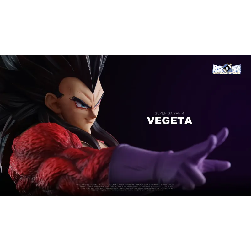 Dragon Ball GT Vegeta SSJ4 EX Capsule Studio