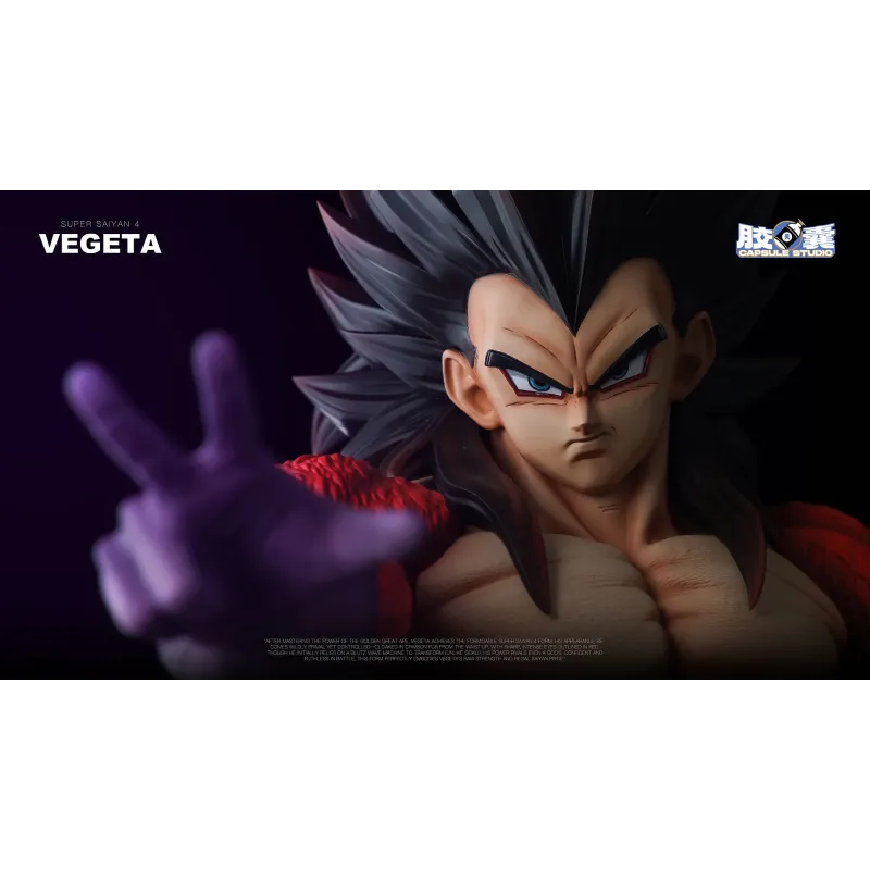 Dragon Ball GT Vegeta SSJ4 EX Capsule Studio