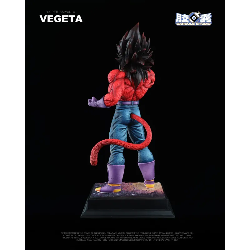 Dragon Ball GT Vegeta SSJ4 EX Capsule Studio