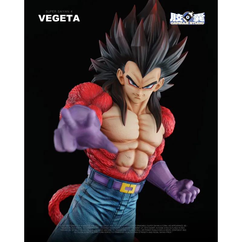 Dragon Ball GT Vegeta SSJ4 EX Capsule Studio