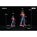 Dragon Ball GT Vegeta SSJ4 EX Capsule Studio
