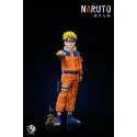 Naruto Shippuden Naruto V6 Studio