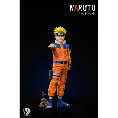 Naruto Shippuden Naruto V6 Studio