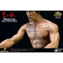 Bruce Lee "Kali Sticks Fight" Star Ace Toys