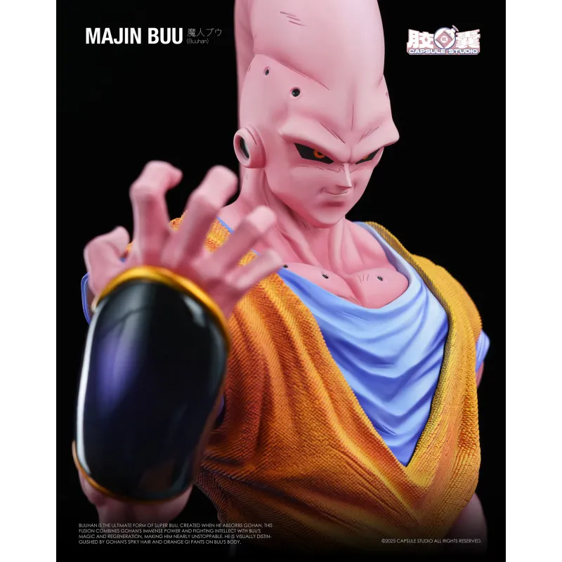 Dragon Ball Z Buuhan Capsule Studio