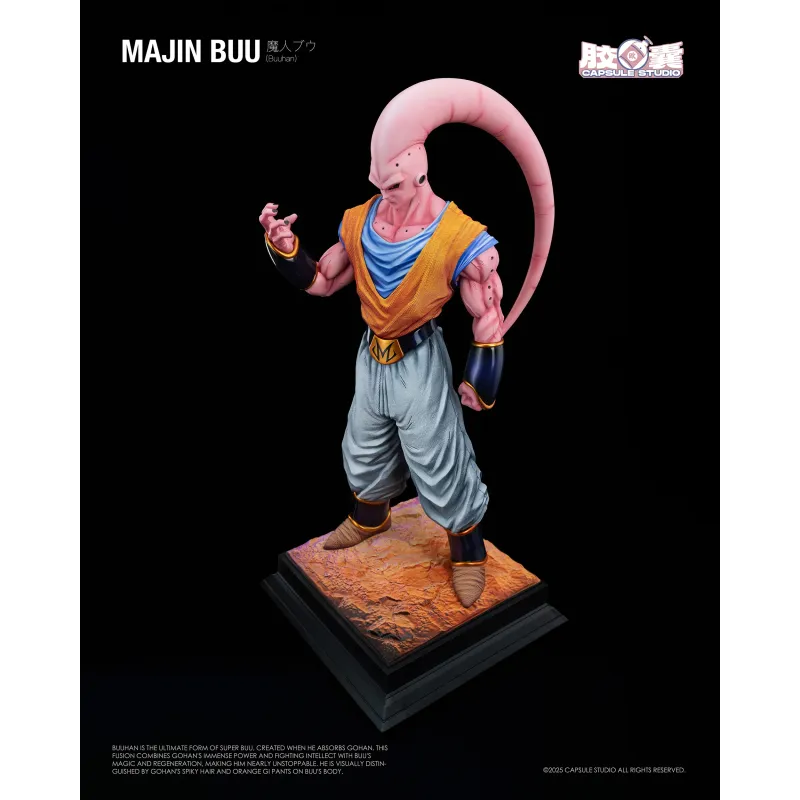 Dragon Ball Z Buuhan Capsule Studio