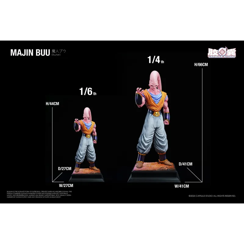 Dragon Ball Z Buuhan Capsule Studio