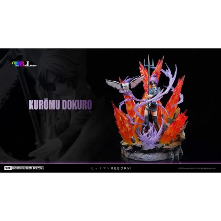 Katekyo Hitman Reborn Kurōmu Dokuro Arcobaleno Studio
