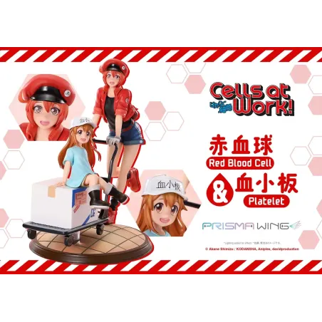 Cells at Work Red Blood Cell & Platelet Prime 1 & Prisma Wing