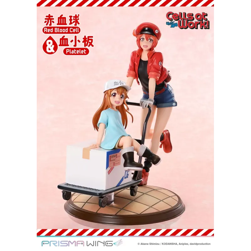 Cells at Work Red Blood Cell & Platelet Prime 1 & Prisma Wing