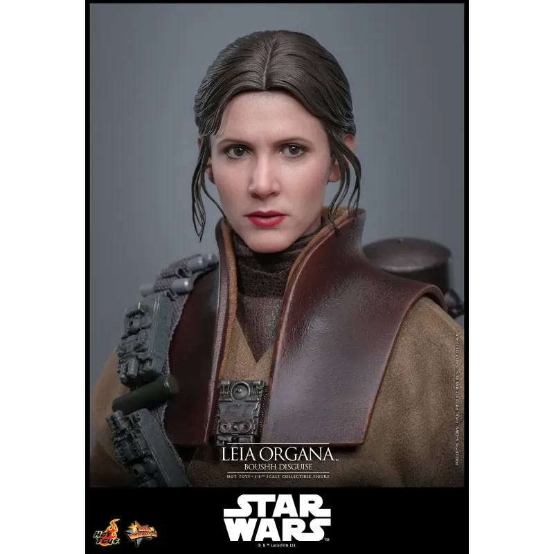 Star Wars Leia Organa (Boushh Disguise) Hot Toys