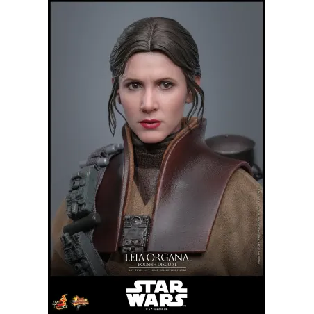 Star Wars Leia Organa (Boushh Disguise) Hot Toys