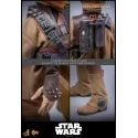 Star Wars Leia Organa (Boushh Disguise) Hot Toys