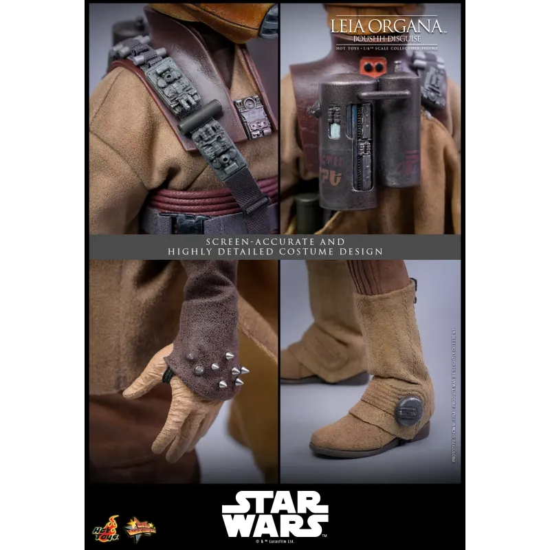 Star Wars Leia Organa (Boushh Disguise) Hot Toys