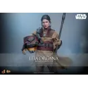 Star Wars Leia Organa (Boushh Disguise) Hot Toys