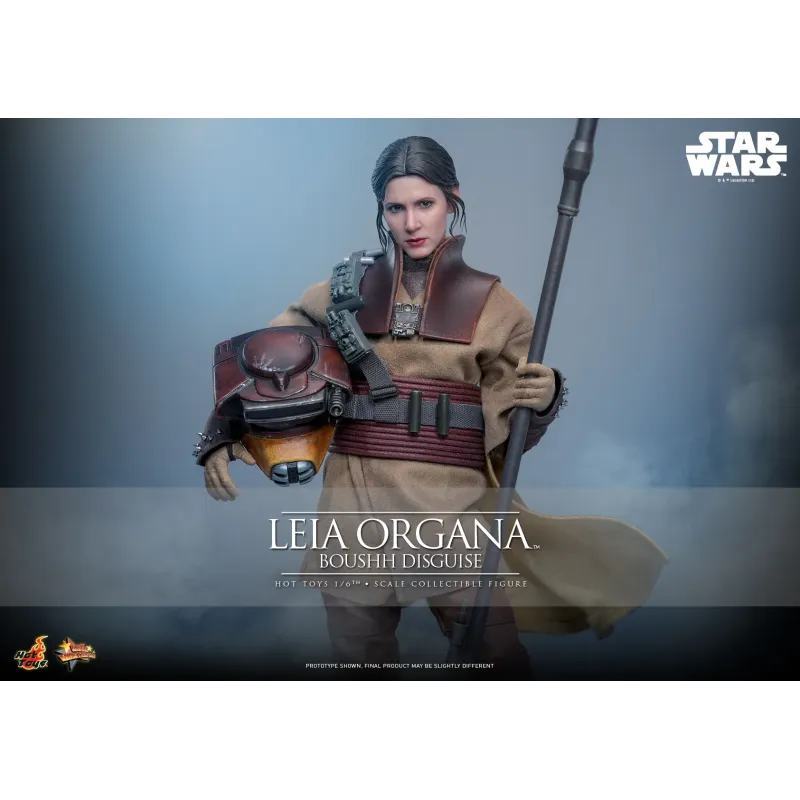 Star Wars Leia Organa (Boushh Disguise) Hot Toys