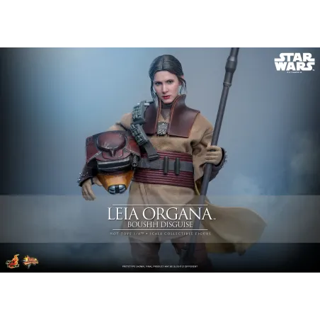 Star Wars Leia Organa (Boushh Disguise) Hot Toys