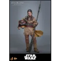 Star Wars Leia Organa (Boushh Disguise) Hot Toys