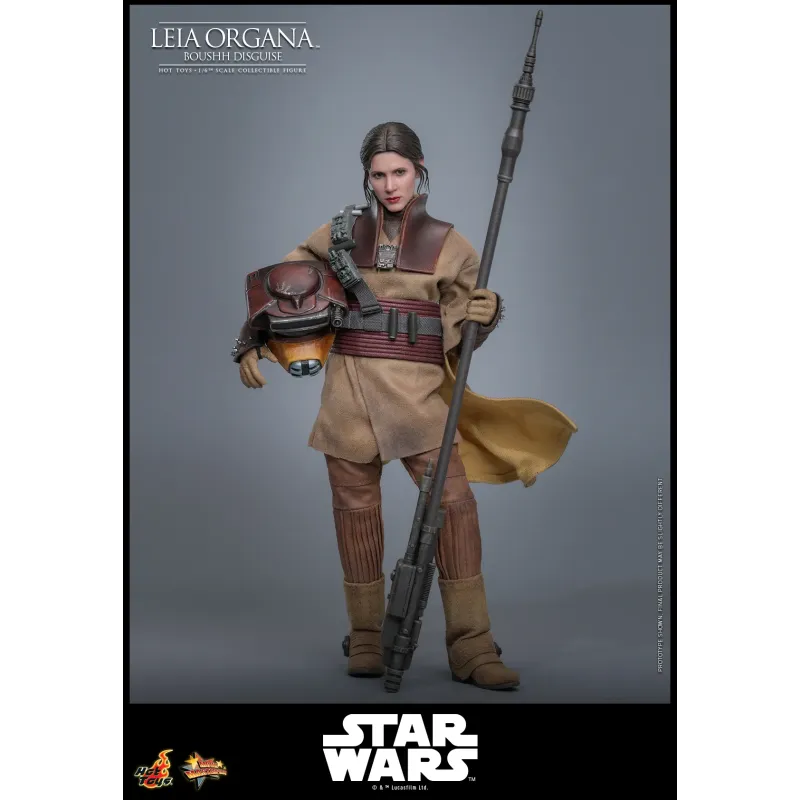 Star Wars Leia Organa (Boushh Disguise) Hot Toys
