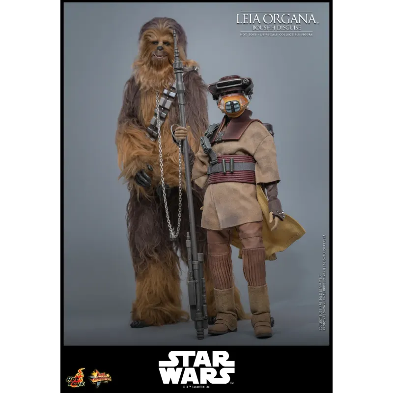 Star Wars Leia Organa (Boushh Disguise) Hot Toys