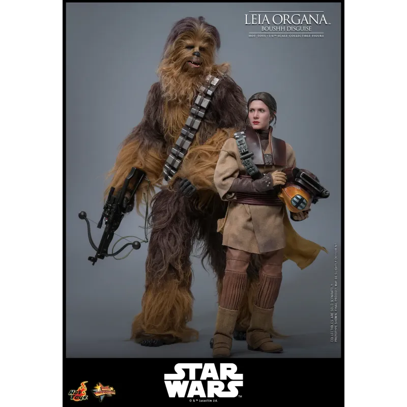 Star Wars Leia Organa (Boushh Disguise) Hot Toys